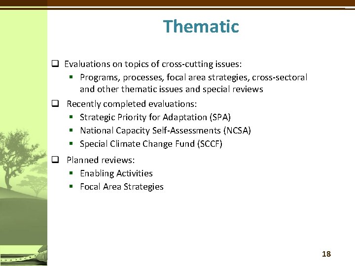 Thematic q Evaluations on topics of cross-cutting issues: § Programs, processes, focal area strategies,