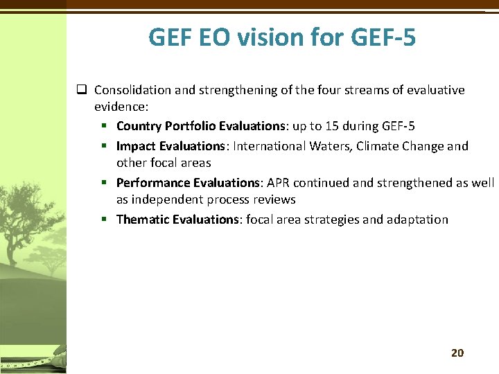 GEF EO vision for GEF-5 q Consolidation and strengthening of the four streams of