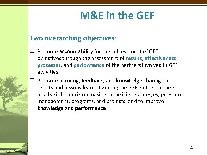 M&E in the GEF Two overarching objectives: q Promote accountability for the achievement of