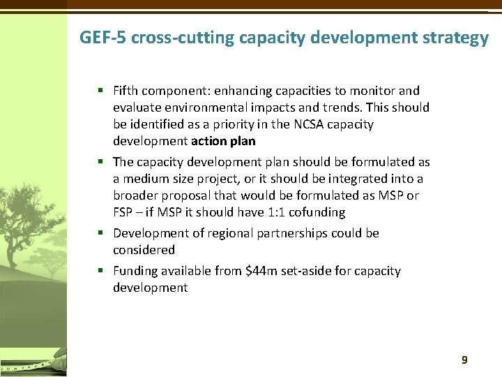 GEF-5 cross-cutting capacity development strategy § Fifth component: enhancing capacities to monitor and evaluate