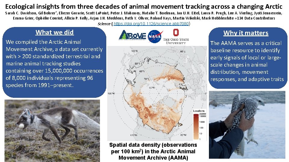 Ecological insights from three decades of animal movement