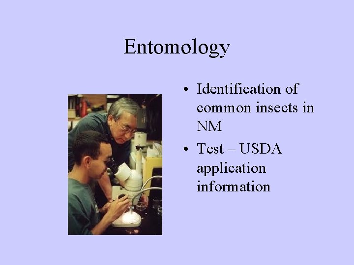 Entomology • Identification of common insects in NM • Test – USDA application information
