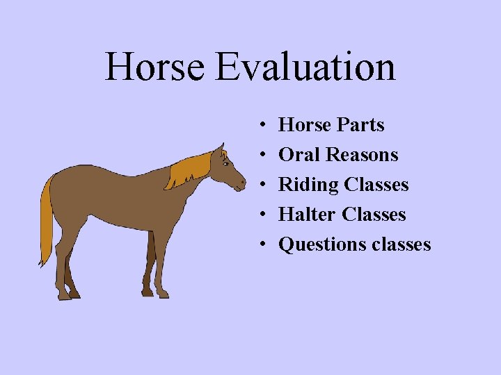 Horse Evaluation • • • Horse Parts Oral Reasons Riding Classes Halter Classes Questions