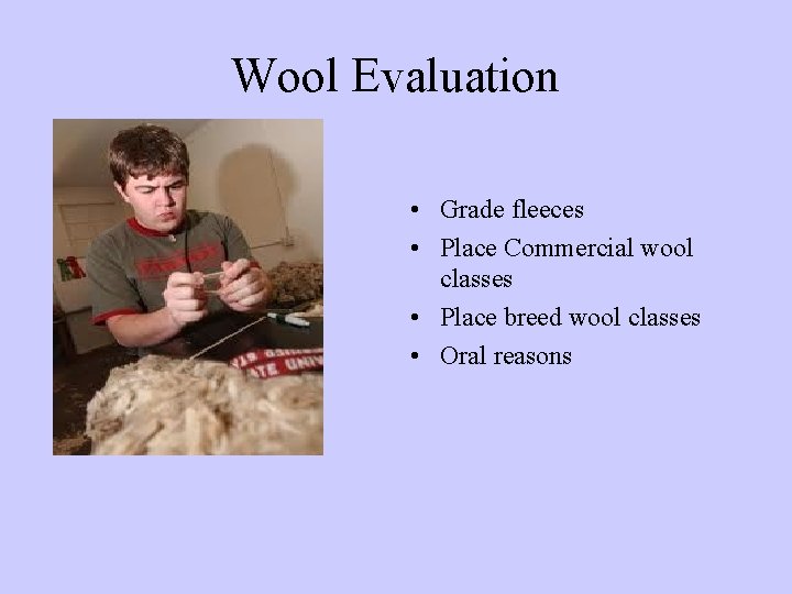 Wool Evaluation • Grade fleeces • Place Commercial wool classes • Place breed wool