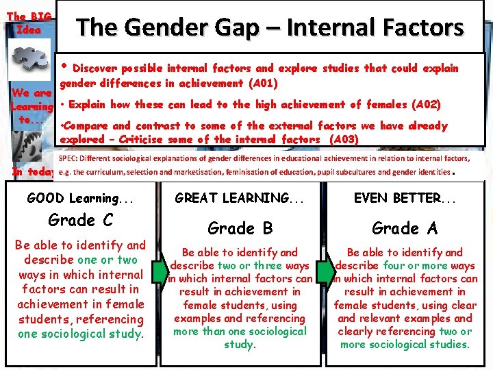 The BIG Idea The Gender Gap – Internal Factors • Discover possible internal factors