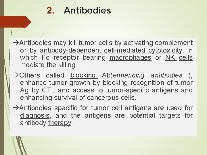 2. Antibodies may kill tumor cells by activating complement or by antibody-dependent cell-mediated cytotoxicity,