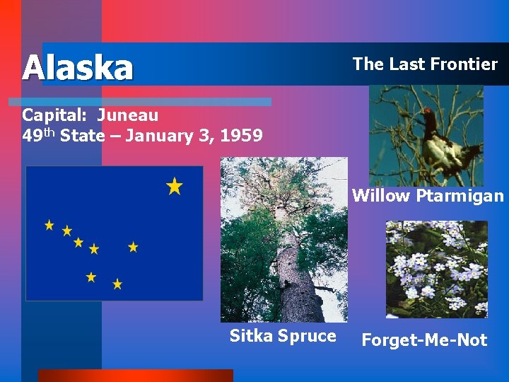 Alaska The Last Frontier Capital: Juneau 49 th State – January 3, 1959 Willow