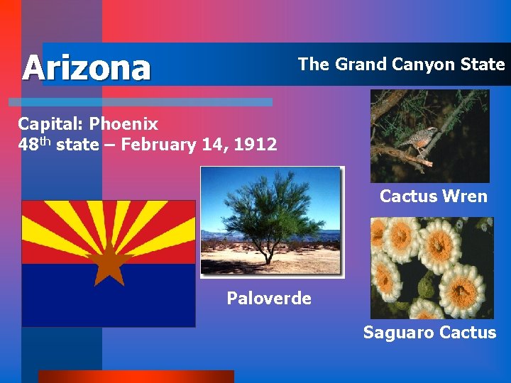 Arizona The Grand Canyon State Capital: Phoenix 48 th state – February 14, 1912