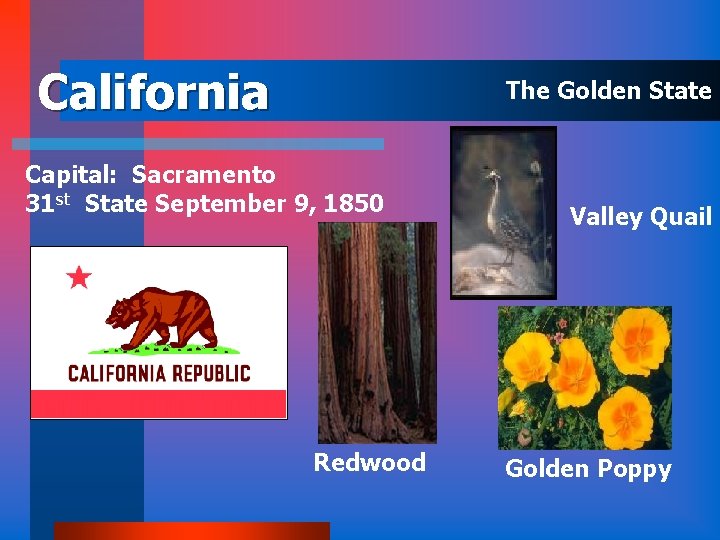 California The Golden State Capital: Sacramento 31 st State September 9, 1850 Redwood Valley