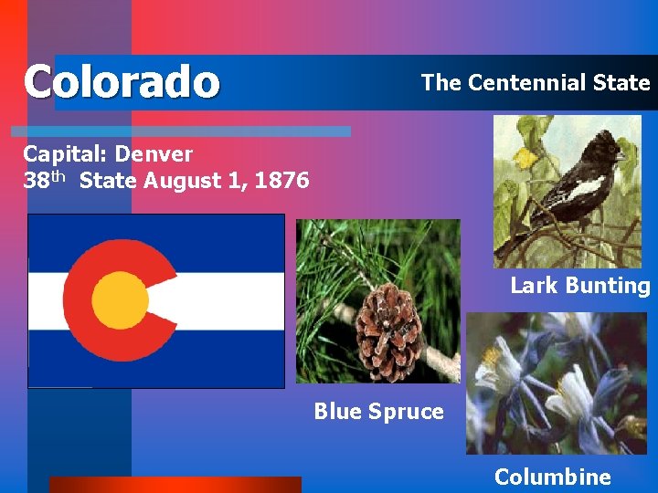 Colorado The Centennial State Capital: Denver 38 th State August 1, 1876 Lark Bunting