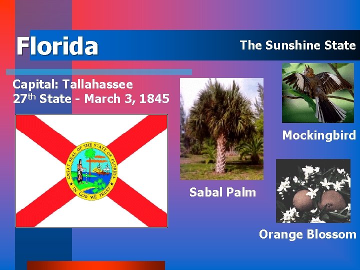 Florida The Sunshine State Capital: Tallahassee 27 th State - March 3, 1845 Mockingbird