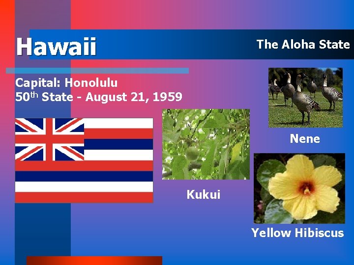 Hawaii The Aloha State Capital: Honolulu 50 th State - August 21, 1959 Nene