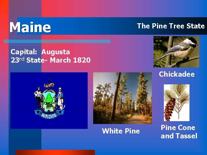 Maine The Pine Tree State Capital: Augusta 23 rd State- March 1820 Chickadee White