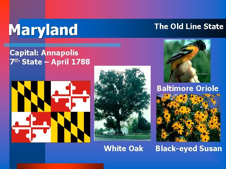 Maryland The Old Line State Capital: Annapolis 7 th State – April 1788 Baltimore