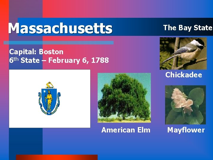 Massachusetts The Bay State Capital: Boston 6 th State – February 6, 1788 Chickadee