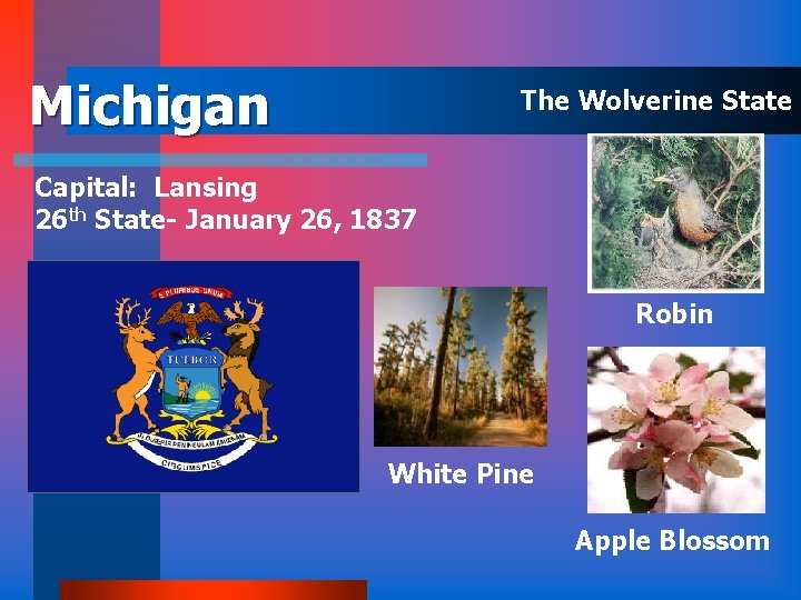 Michigan The Wolverine State Capital: Lansing 26 th State- January 26, 1837 Robin White