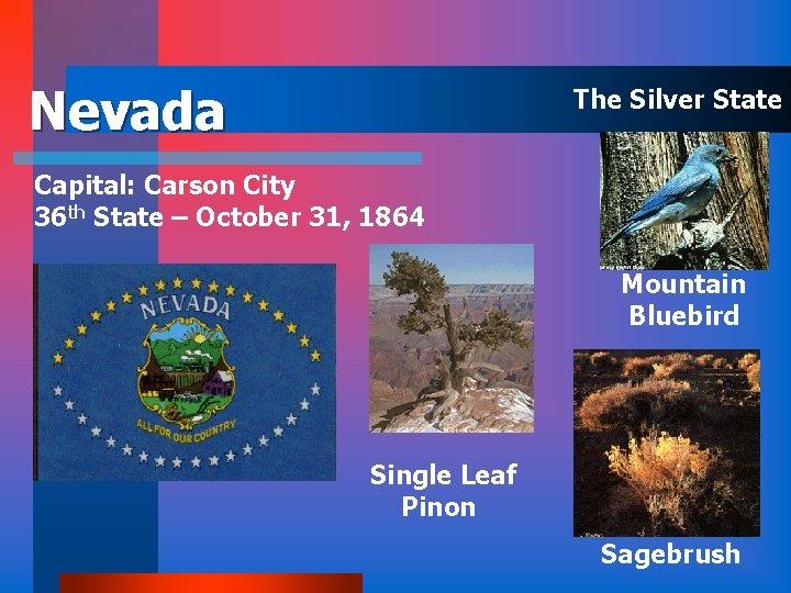 Nevada The Silver State Capital: Carson City 36 th State – October 31, 1864