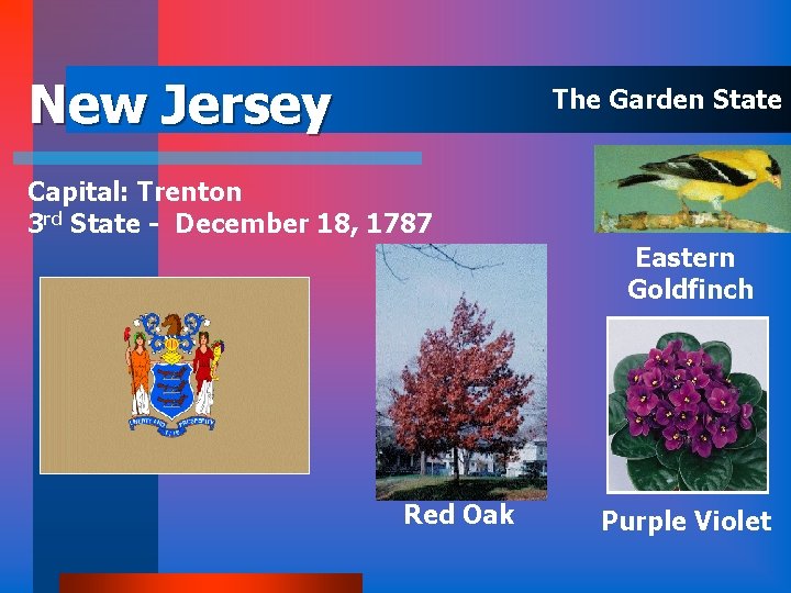 New Jersey The Garden State Capital: Trenton 3 rd State - December 18, 1787