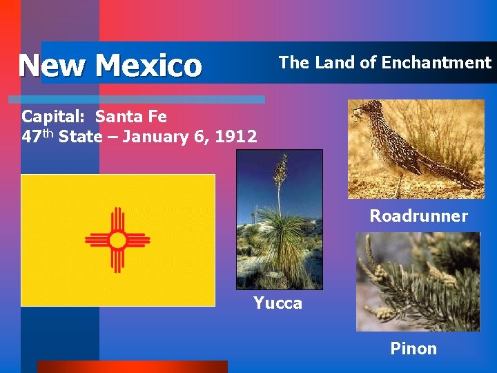 New Mexico The Land of Enchantment Capital: Santa Fe 47 th State – January