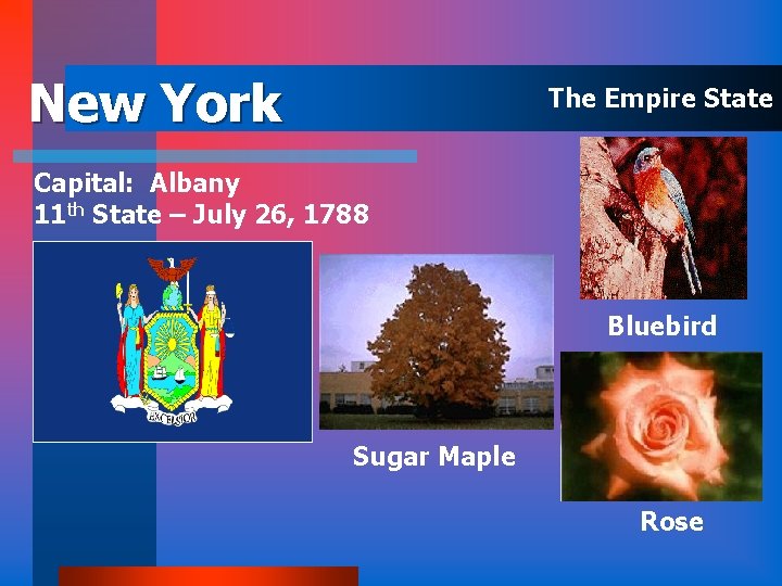 New York The Empire State Capital: Albany 11 th State – July 26, 1788