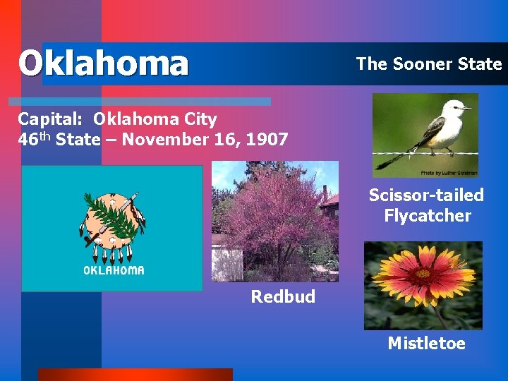 Oklahoma The Sooner State Capital: Oklahoma City 46 th State – November 16, 1907