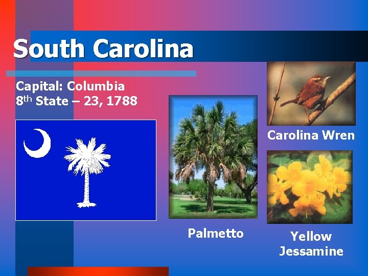 South Carolina Capital: Columbia 8 th State – 23, 1788 Carolina Wren Palmetto Yellow