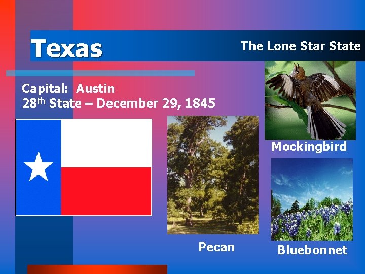 Texas The Lone Star State Capital: Austin 28 th State – December 29, 1845