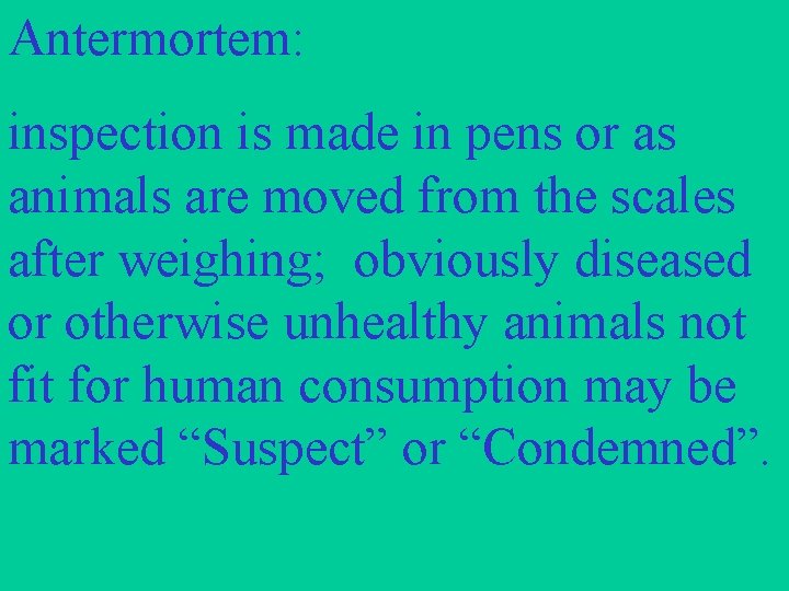 Antermortem: inspection is made in pens or as animals are moved from the scales