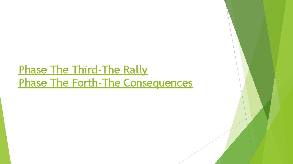 Phase Third-The Rally Phase The Forth-The Consequences 