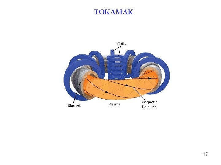 TOKAMAK 17 