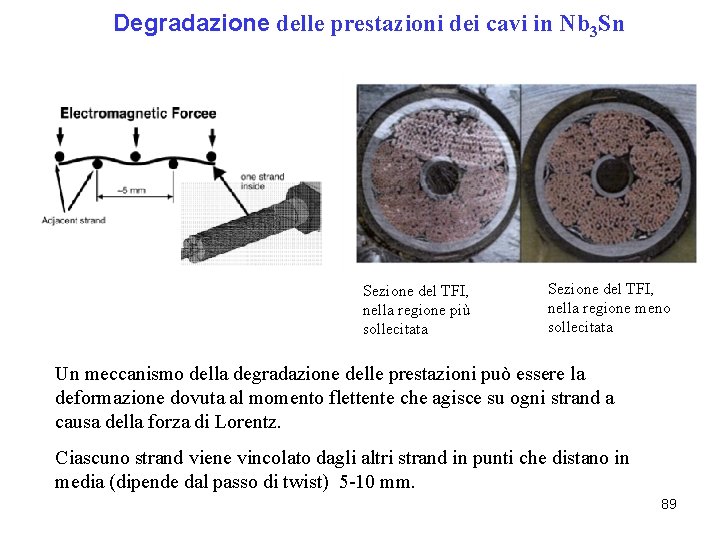 Degradazione delle prestazioni dei cavi in Nb 3 Sn Sezione del TFI, nella regione