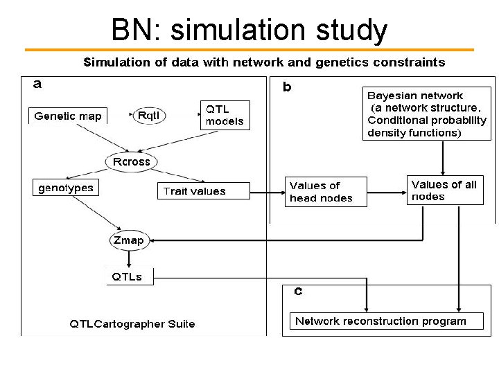 Bayesian network and its applications Jun Zhu Genetics