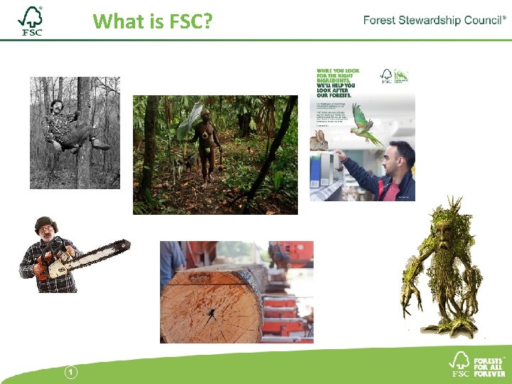 What is FSC? 1 