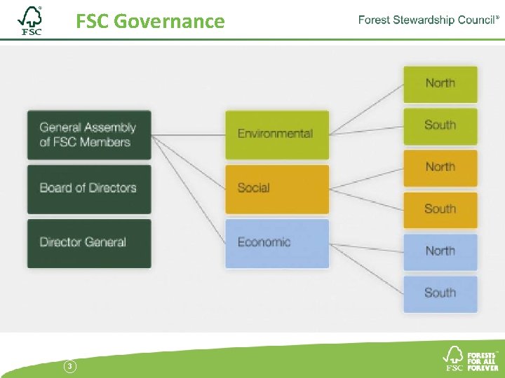 FSC Governance 3 