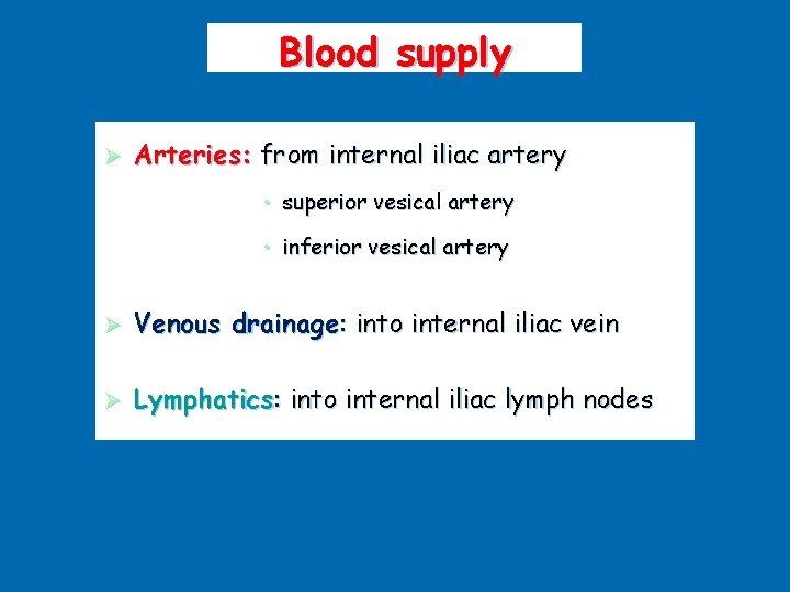 Blood supply Ø Arteries: from internal iliac artery • superior vesical artery • inferior