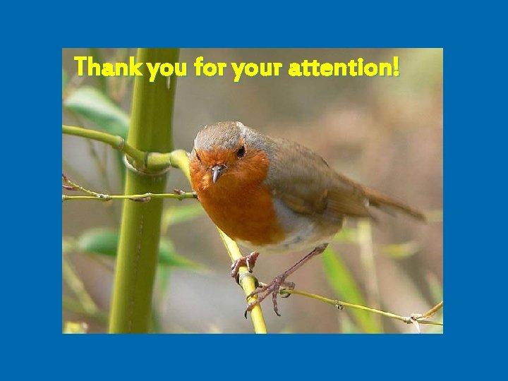 Thank you for your attention! TUBULUS PROXIMALIS EM KÉPE 