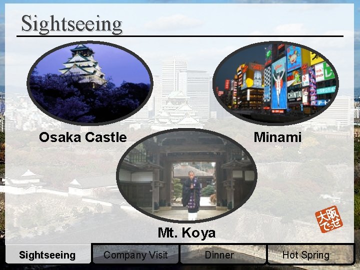 Sightseeing Minami Osaka Castle Mt. Koya Sightseeing Company Visit Dinner Hot Spring 