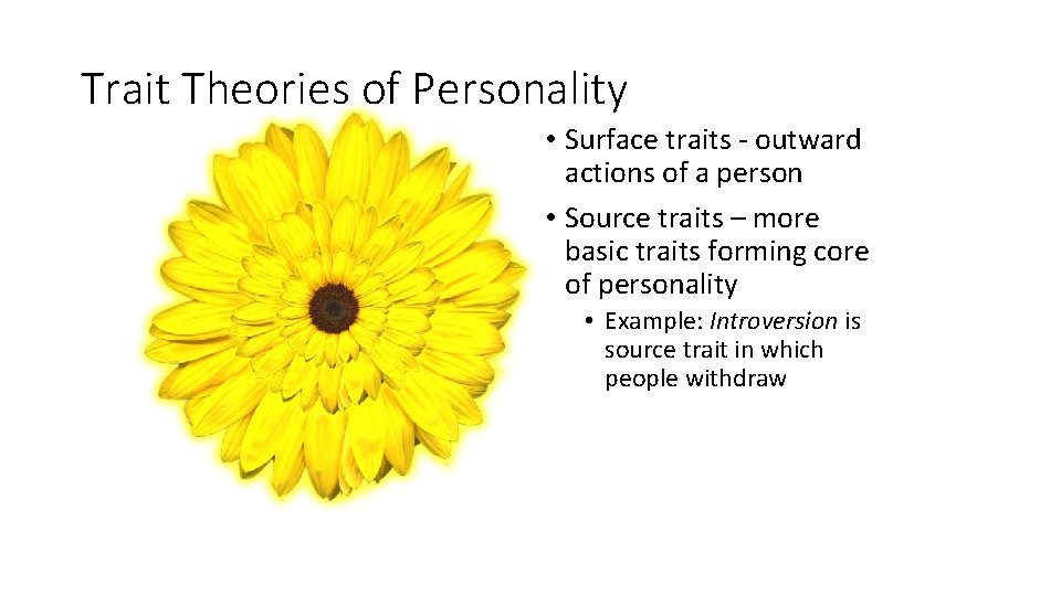 Trait Theories of Personality • Surface traits - outward actions of a person •