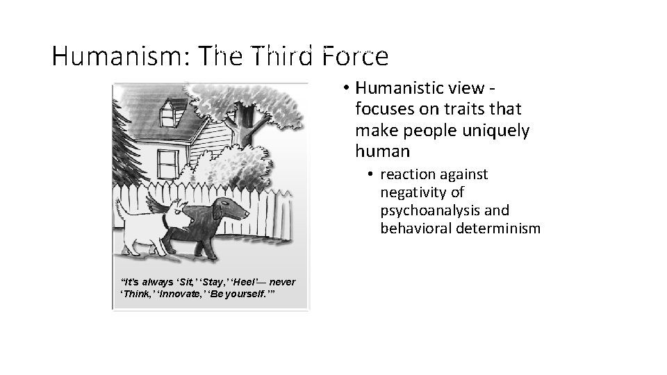 Humanism: The Third Force 11. 6 How do humanists explain personality? • Humanistic view