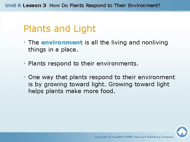 Unit 6 Lesson 3 How Do Plants Respond to Their Environment? Plants and Light