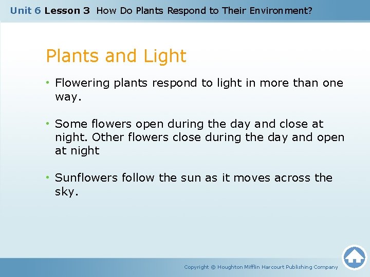 Unit 6 Lesson 3 How Do Plants Respond to Their Environment? Plants and Light