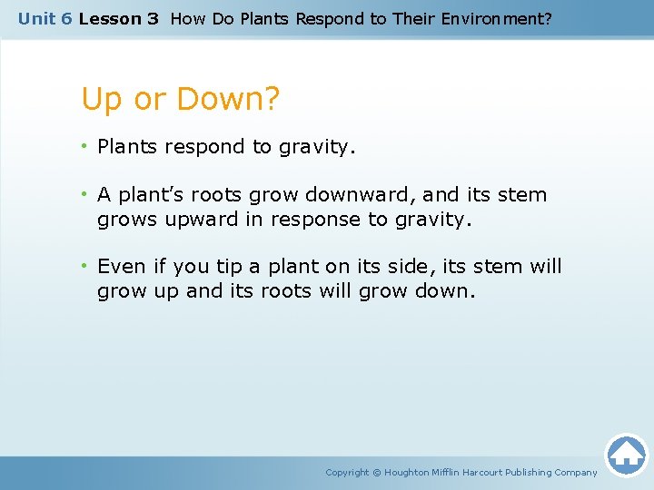 Unit 6 Lesson 3 How Do Plants Respond to Their Environment? Up or Down?
