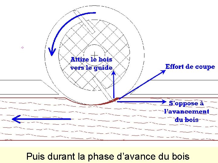 Puis durant la phase d’avance du bois 