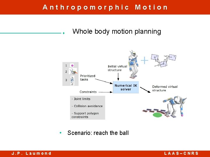 Anthropomorphic Motion Whole body motion planning • Scenario: reach the ball J. P. Laumond