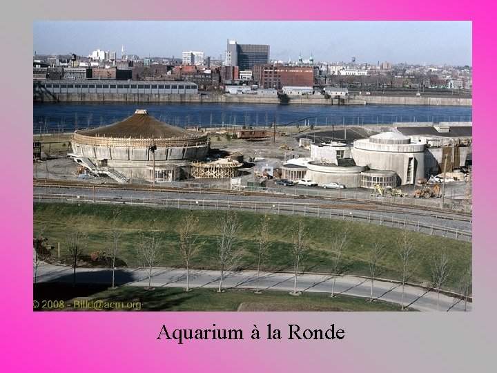Aquarium à la Ronde 