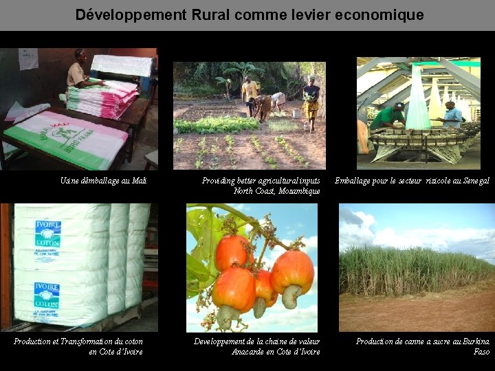 Développement Rural comme levier economique Usine dêmballage au Mali Production et Transformation du coton