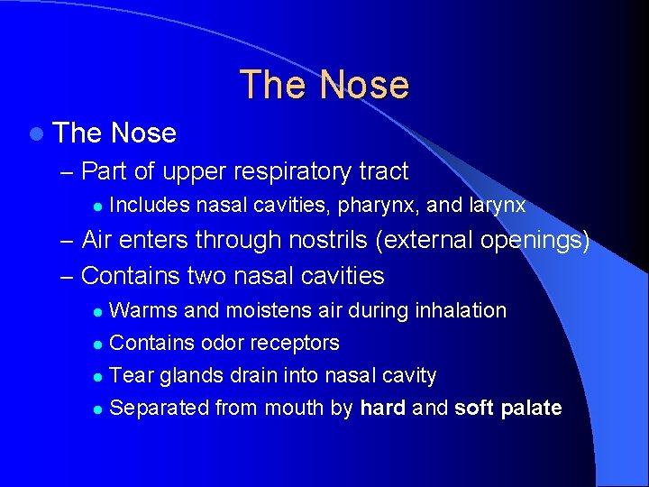 The Nose l The Nose – Part of upper respiratory tract l Includes nasal