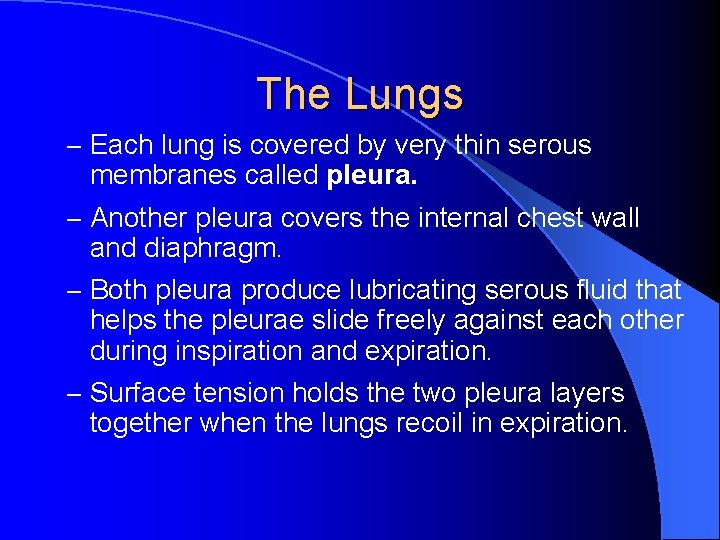 The Lungs – Each lung is covered by very thin serous membranes called pleura.