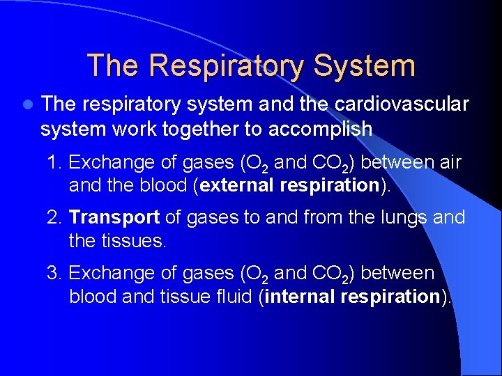 The Respiratory System l The respiratory system and the cardiovascular system work together to