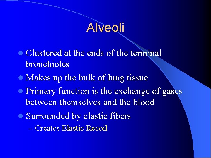 Alveoli l Clustered at the ends of the terminal bronchioles l Makes up the